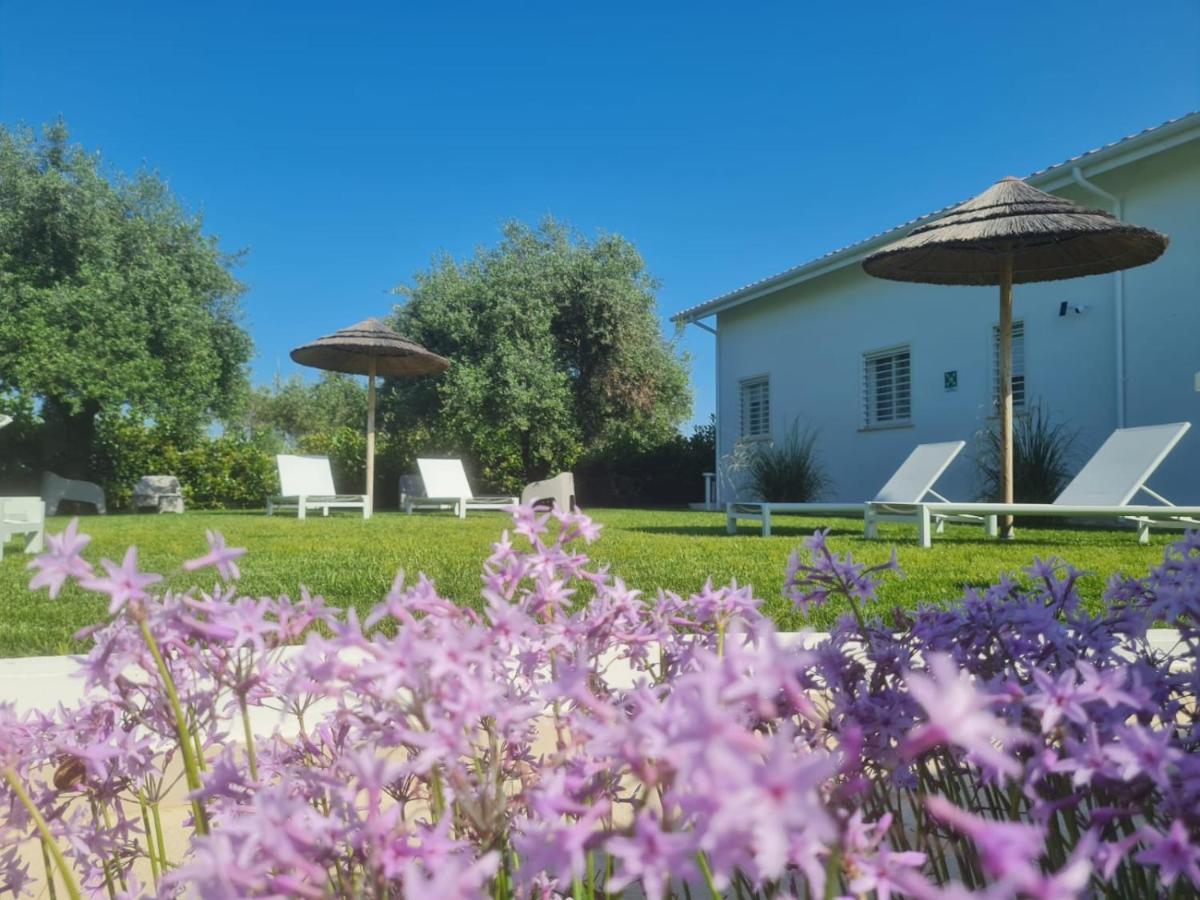 La Maison - Boutique Rooms Sperlonga Exterior foto